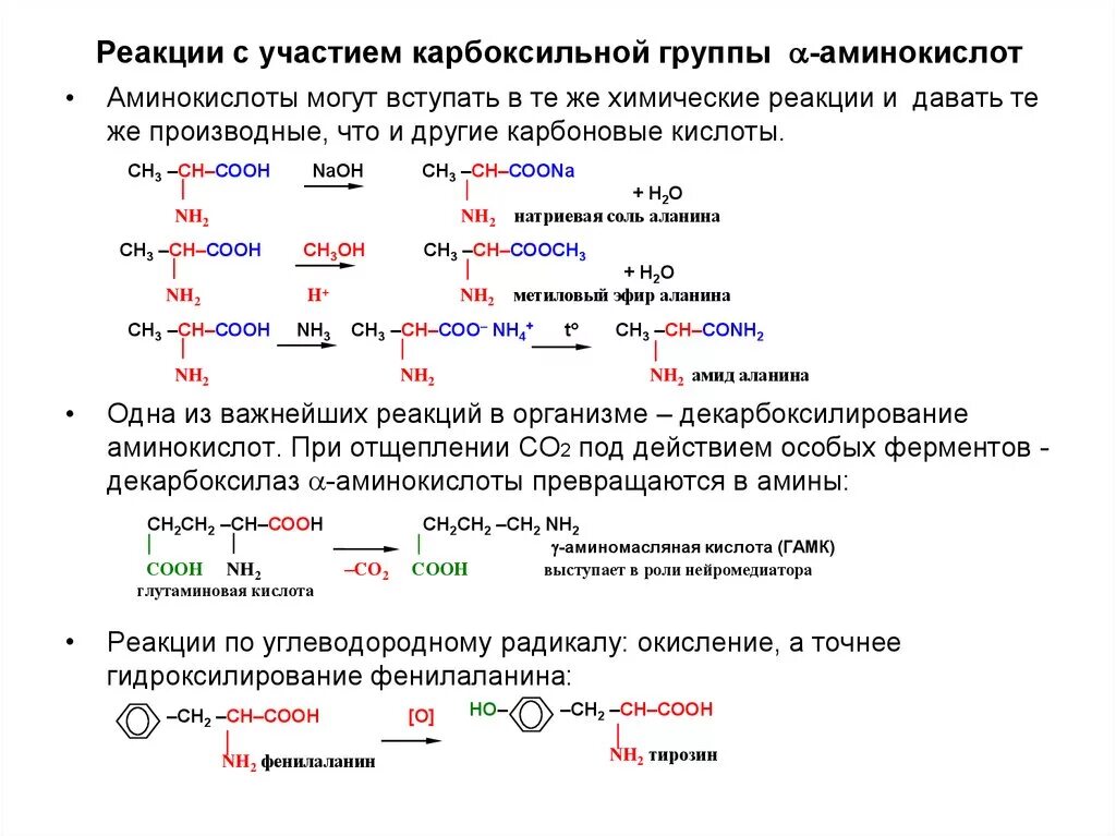 Реакции протекающие по карбоксильной группе аминокислот. Классификация аминокислот реакции карбоксильной группы. Аминокислоты и карбоновые кислоты реакция. Аминокислоты с 2 карбоксильными группами. Реакции по карбоксильной группе