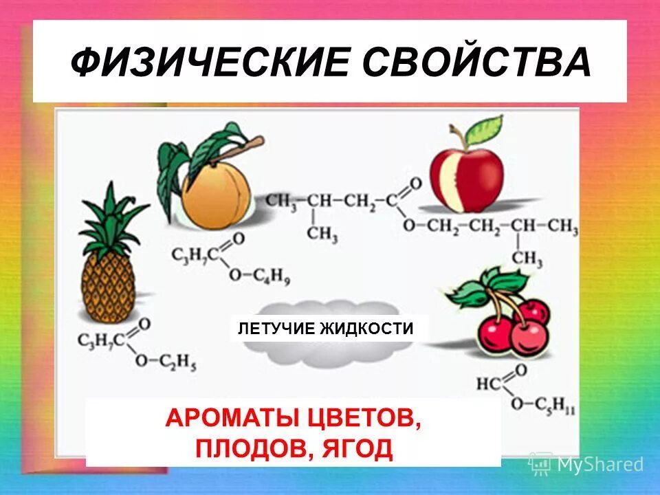 Плодовые и ягодные сложное прилагательное. Плодовые и ягодные сложное прилагательное. Плодовые и ягодные сложное прилагательное. Плодовые и ягодные сложное прилагательное. Соплодие простые плоды сложные плоды.