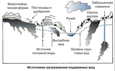 В тексте как живая вода становится мертвой описаны источники загрязнения природных вод схема