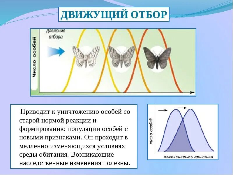 Движущая форма естественного отбора норма реакции. Естественный отбор схема биология. Схема движущего естественного отбора. Движущая форма естественного отбора график. 5 примеров естественного отбора