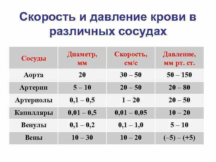 Таблица скорости крови в сосудах. Скорость движения крови в сосудах. Скорость и давление в сосудах таблица. Скорость движения крови по сосудам таблица. Норма кровообращения