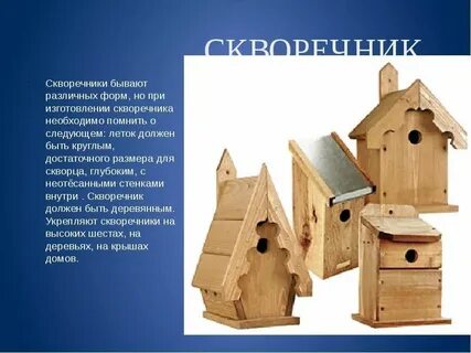 Проект создание скворечника для птиц
