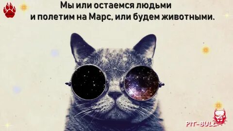 Dabro remix улетай