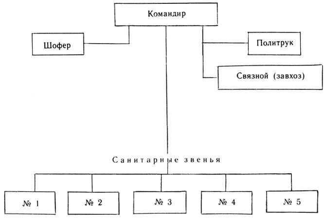 структура дружины