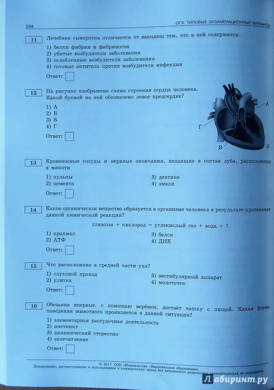 Рохлов вариант 13. Рохлов вариант 13