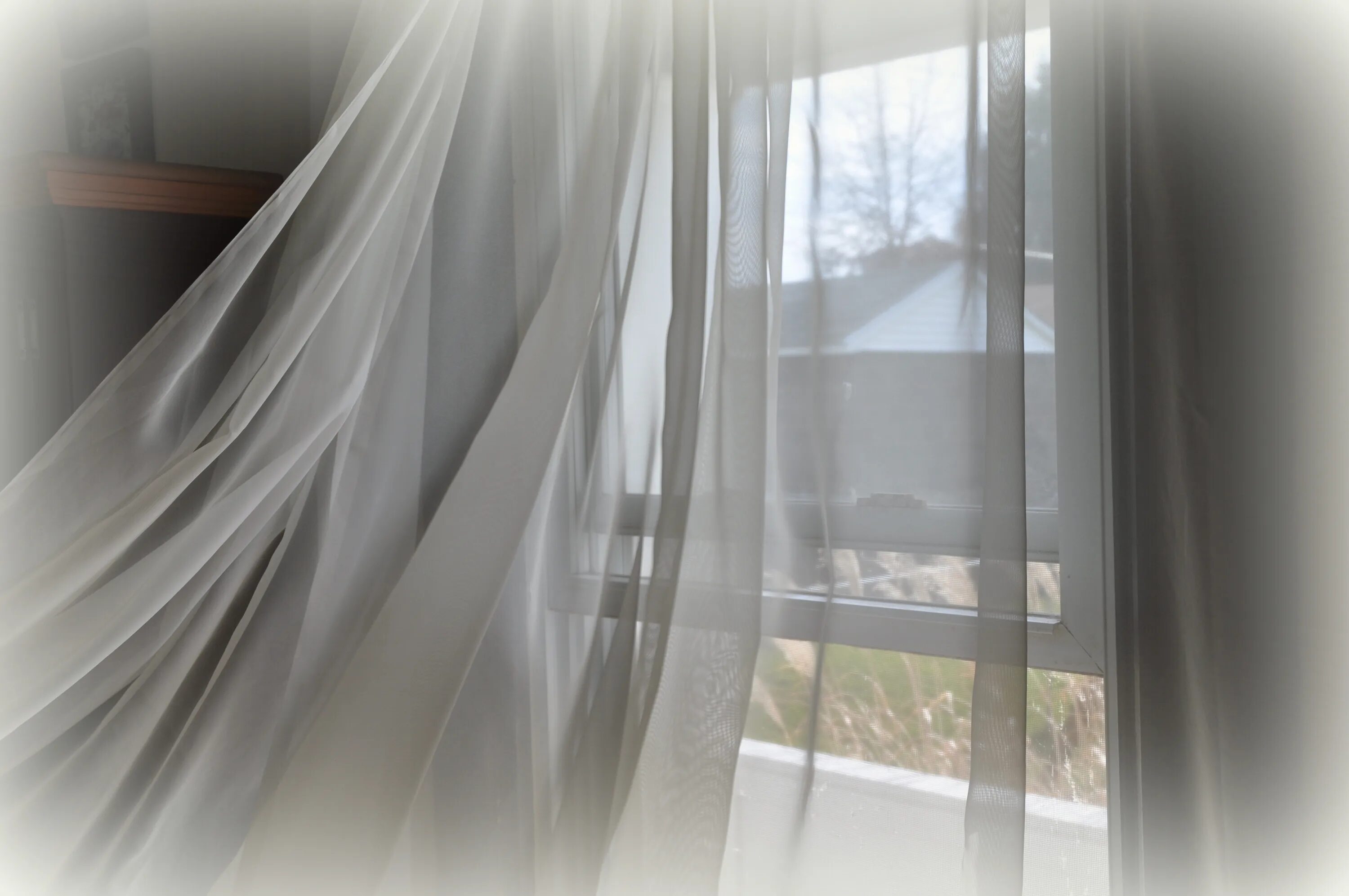 Тюль вуаль прозрачный. Тюль на ветру. развивающиеся занавески. развивающаяся тюль. развевающиеся занавески.
