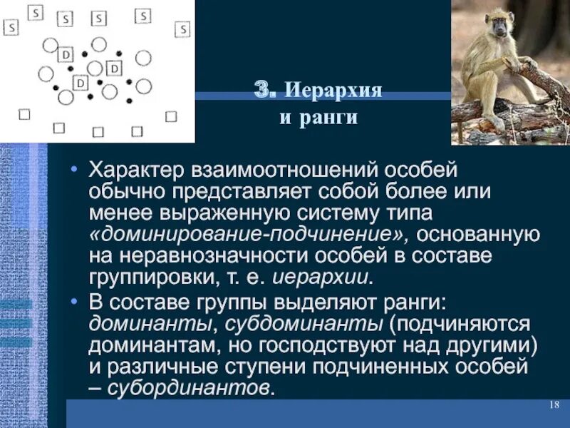 Тест на поведение доминирования подчинения. Иерархия доминирования у животных. Линейная иерархия у животных. Линейная иерархия у животных примеры. Параллельная иерархия у животных.