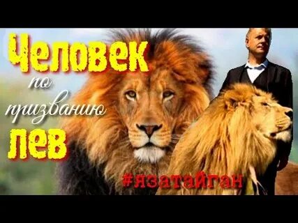 Лев мужчина общения
