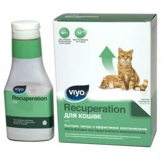 Лучший пробиотик для кошек