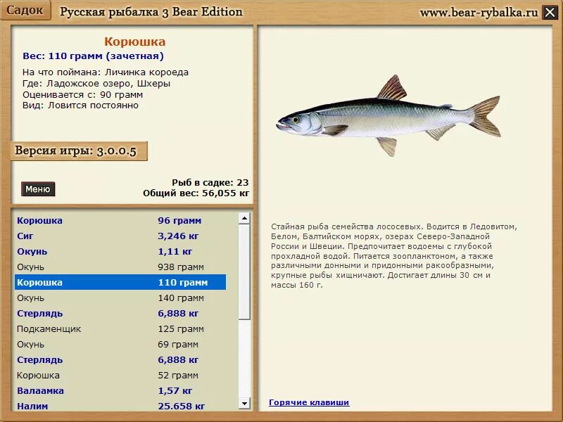 Какая рыба водится в озере. Рыбы обитающие в Ладожском озере. Виды рыб в Ладожском озере. Рыба Ладожского озера список. Рыбы , которые водятся в Ладоге.