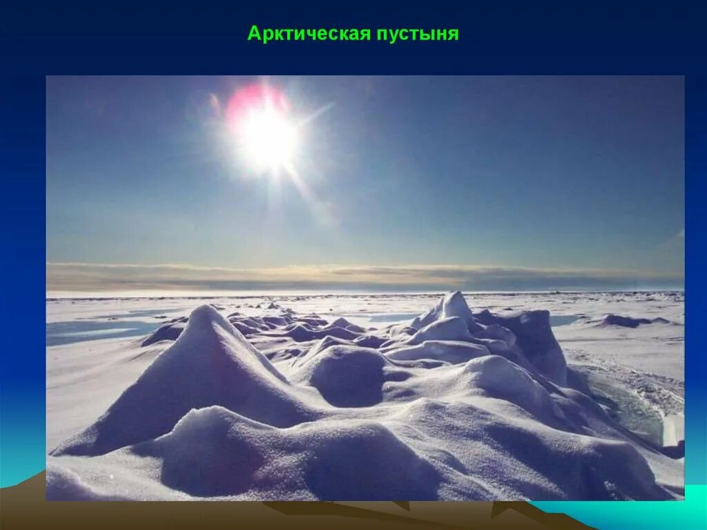 Арктические пустыни Полярная ночь. Полярный день. Полярный день в Арктике. Проект зона арктических пустынь. Сколько суток в арктических пустынях