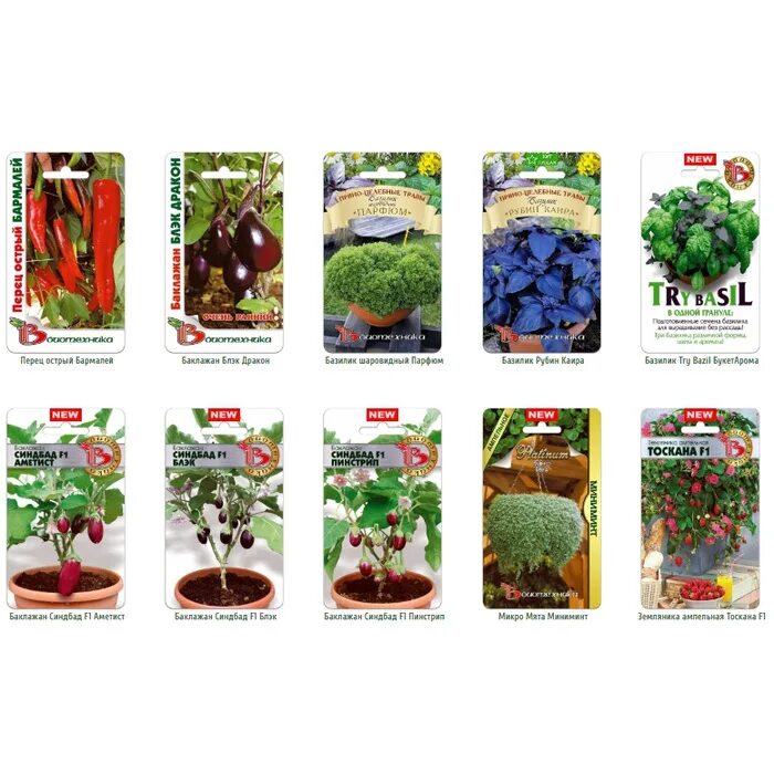 Фирма биотехника семена цветов. Семена от биотехники. Семена биотехника логотип. Фирма биотехника семена цветов. Семена гейхеры биотехника.