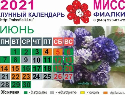 Лунный календарь на июнь для комнатных растений