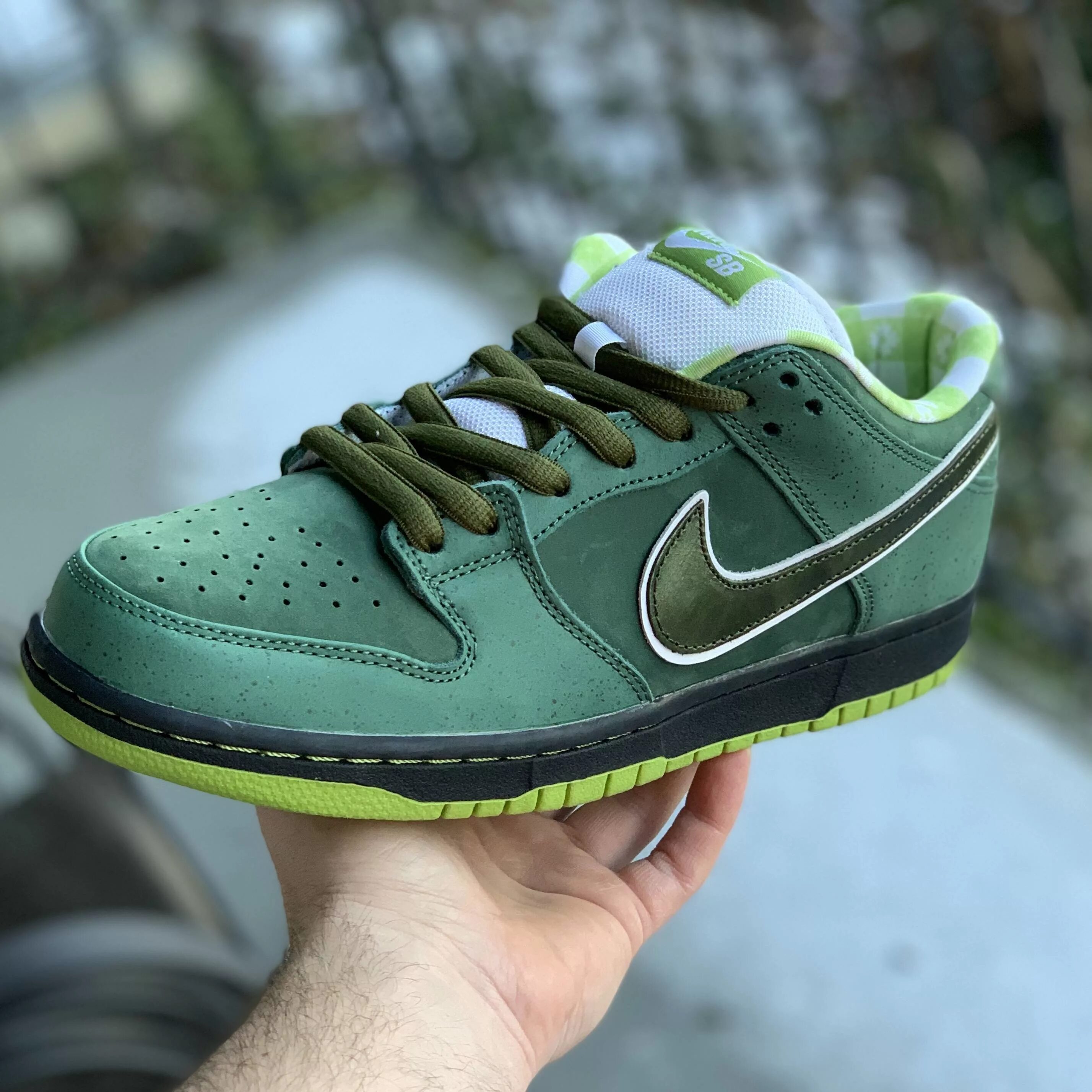 Найк лобстер. Nike SB Dunk Low Green. Nike SB Dunk Low Pro Green. Nike SB Dunk зеленые. Nike SB Dunk Low зеленые.