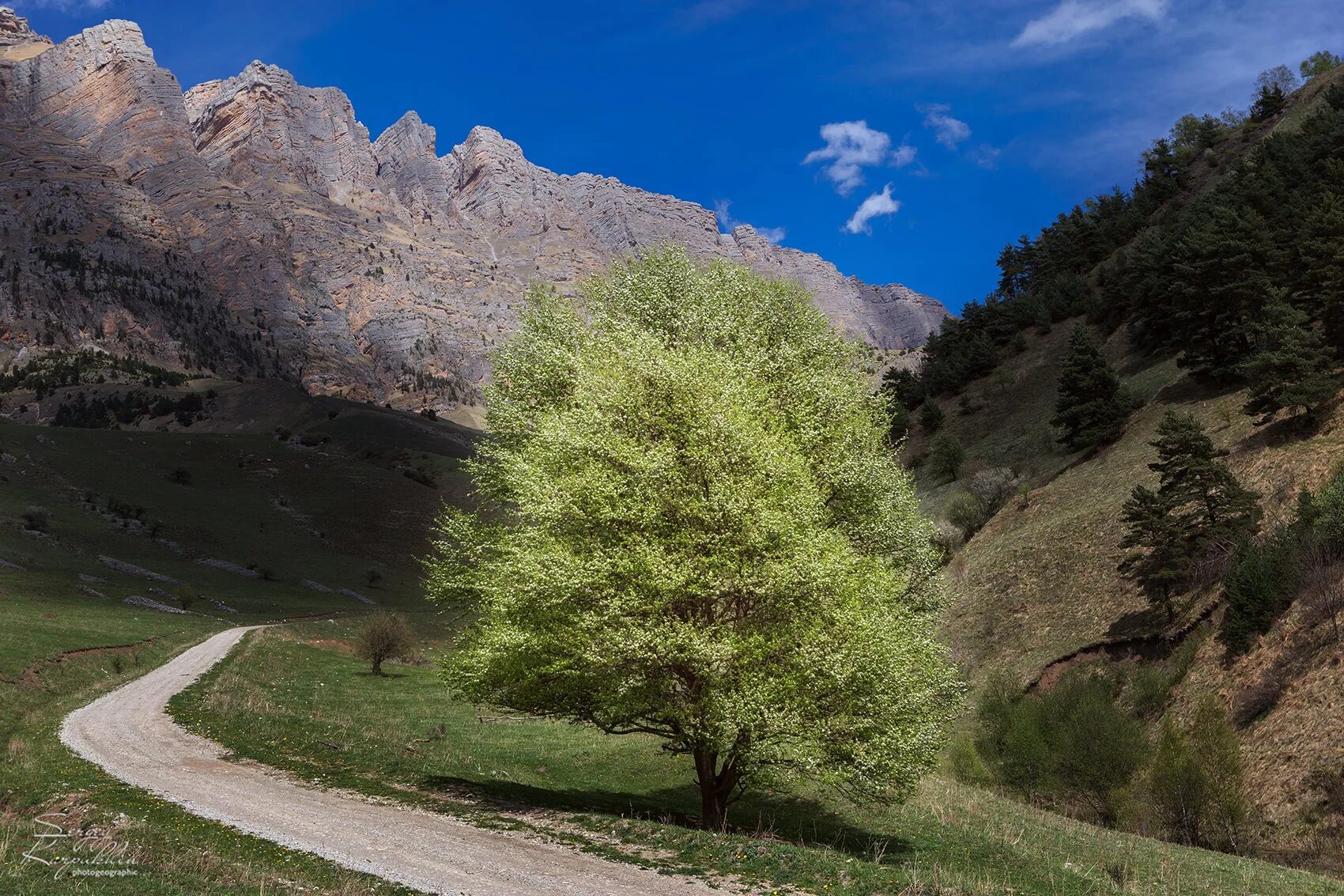 где природный заповедник эрзи. заповедник эрзи ингушетия на карте. природный заповедник «эрзи». заповедник эрзи на карте россии. где природный заповедник эрзи.
