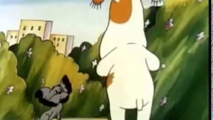 Умная собачка соня мультфильм. Умная собачка соня мультфильм 1991. Умная собачка соня. Собачка соня мультфильм. Умная собачка соня горчица.