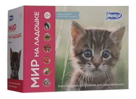 Мир умница