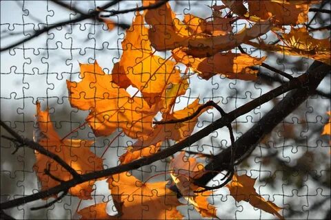 Cold fall