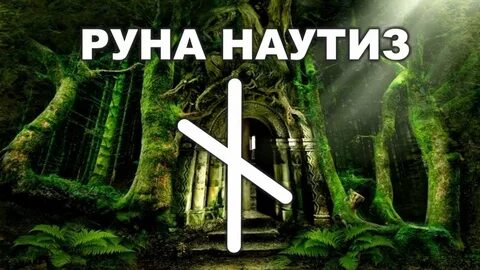 Руны дня