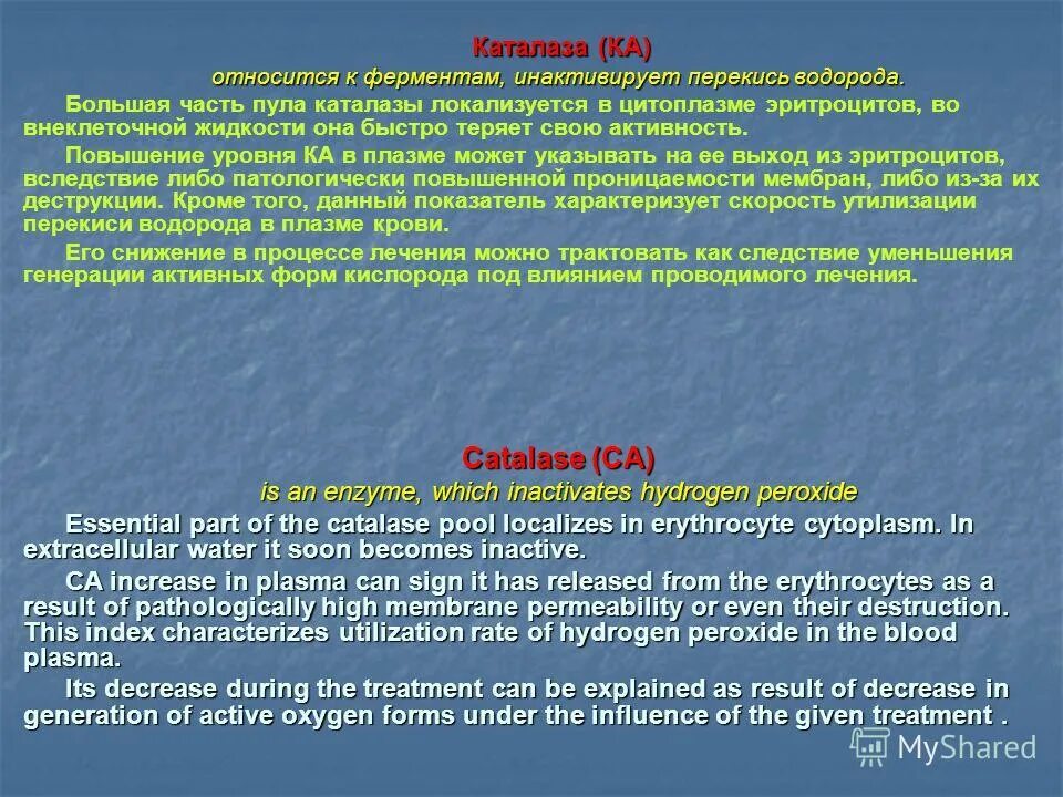 определение активности каталазы