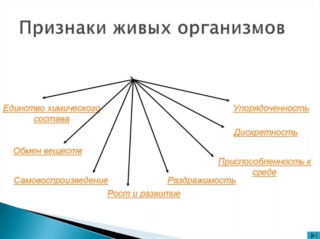 Признак тел живой природы