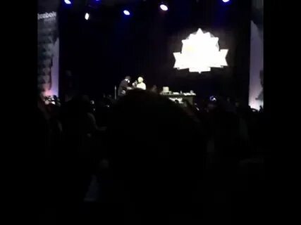 Stereocoma oxxxymiron