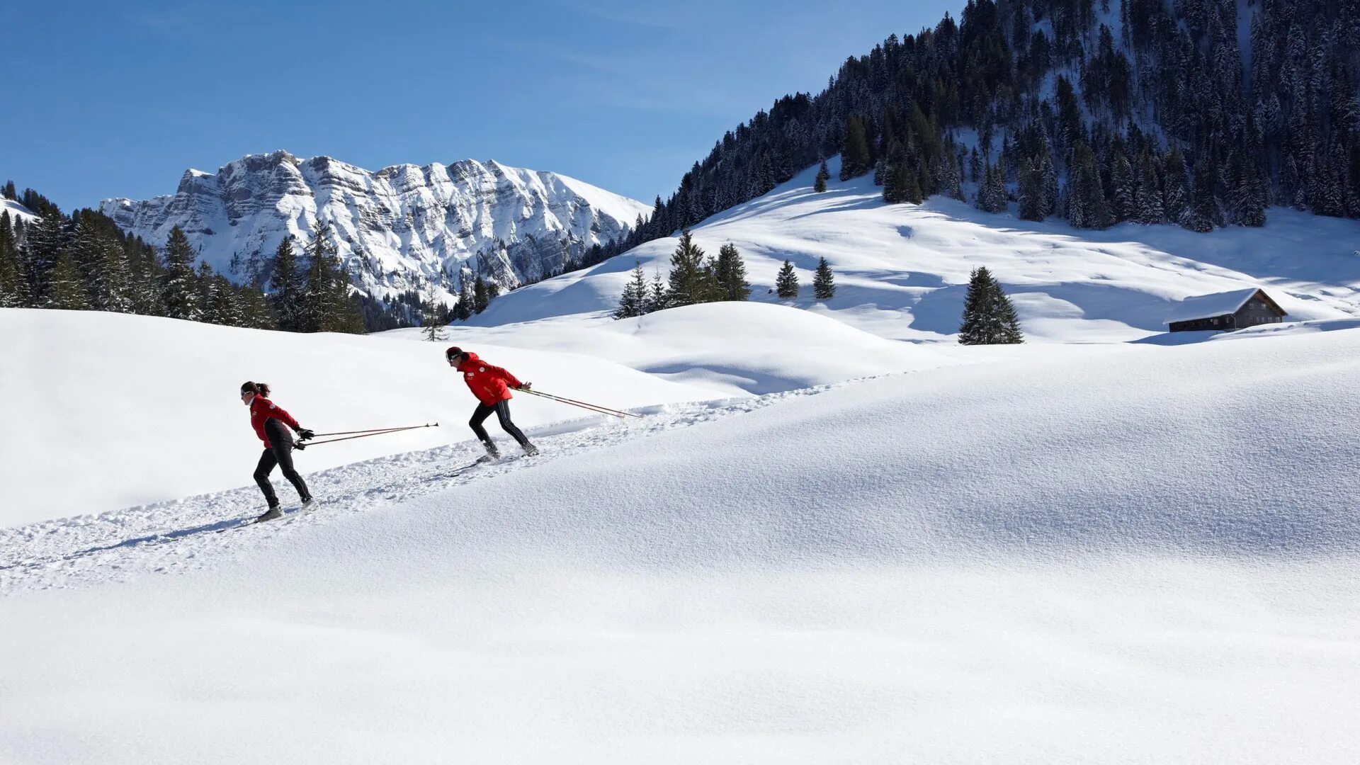 Skiing cross country skis