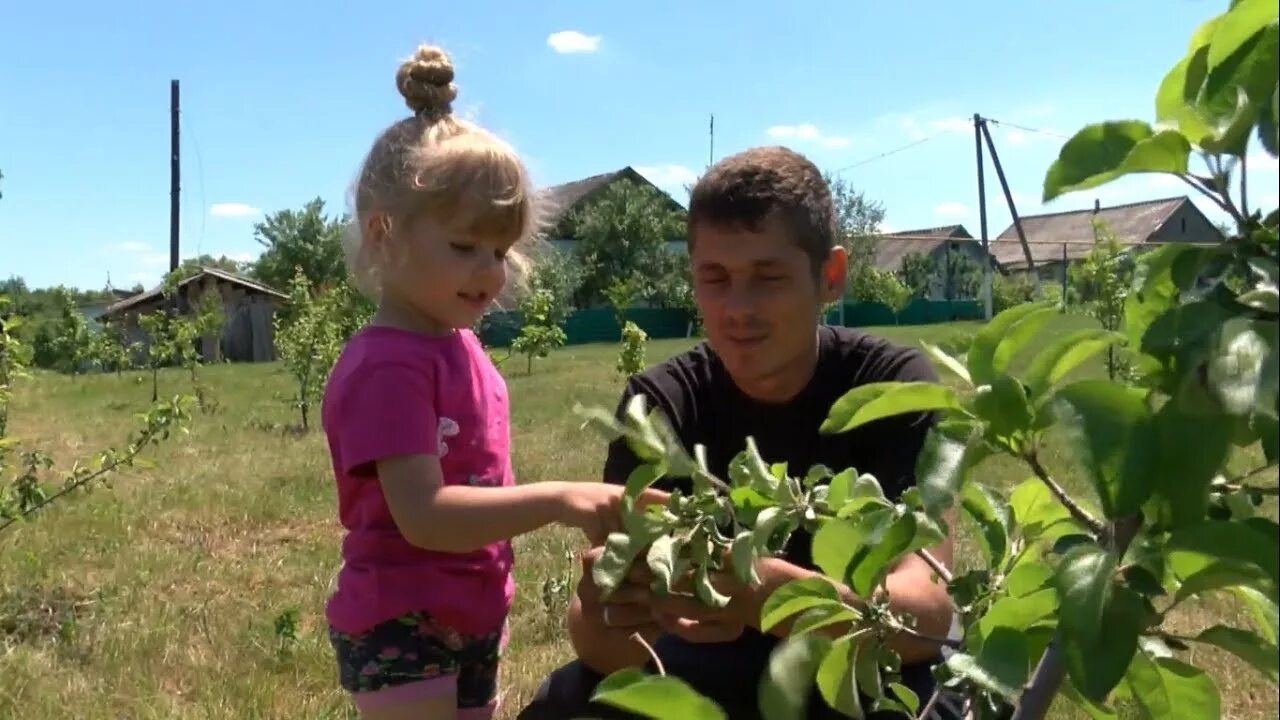 Погода лозная белгородская область ровеньской район. Село Лозная Ровеньского района Белгородской области. Расховец Белгородская область. Лозная Белгородская область школа. Белгородская область село Расховец.