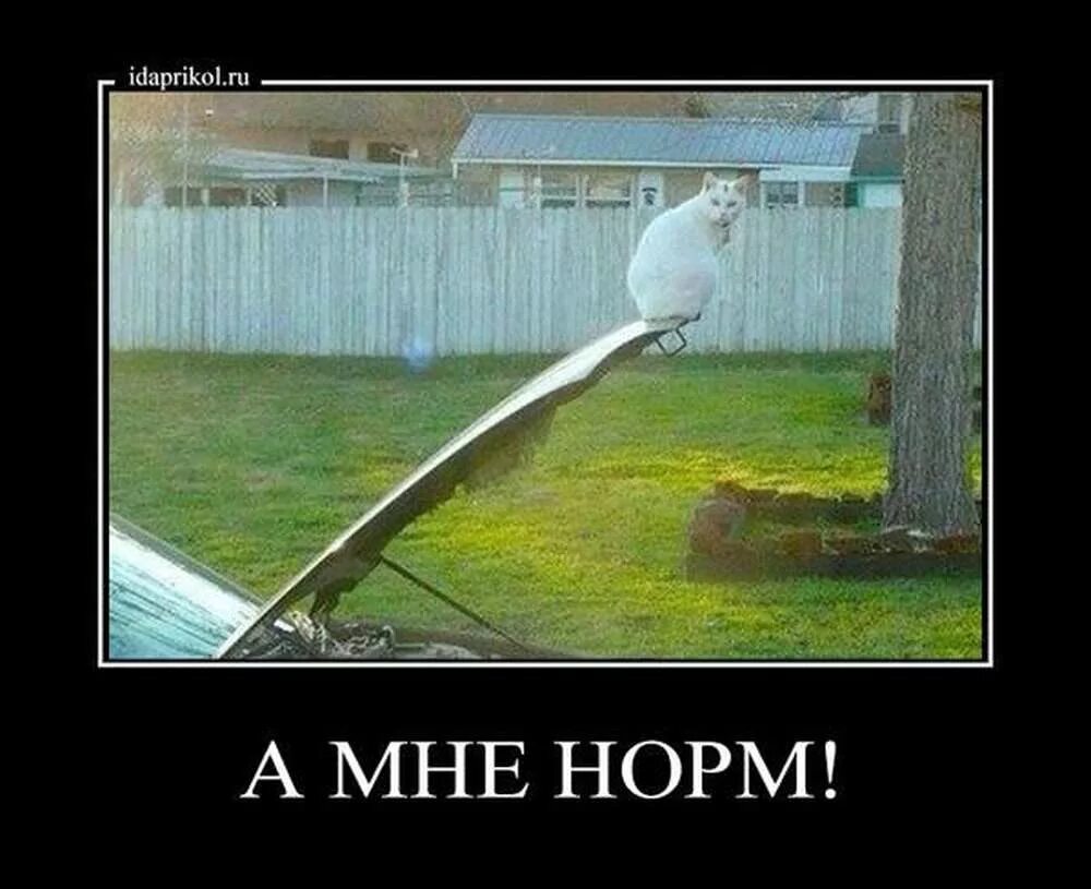 Про нормальных