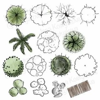 Various plants