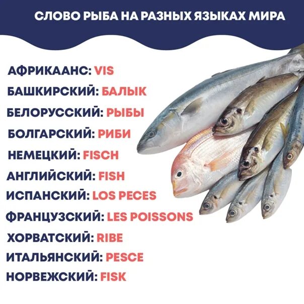 Слова рыба ответы. Рыба текст. Рыба на разных языках. Рыба текста на русском. Рыба речь.