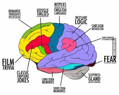 Elements of thinking