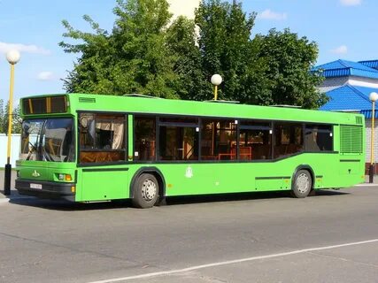 Автобус шклов могилев