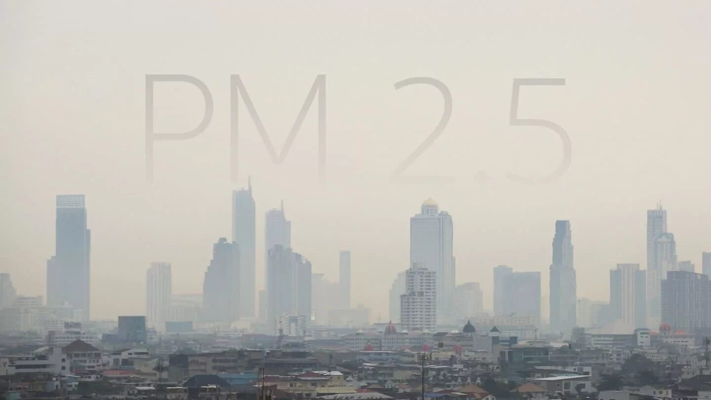 Pm 2a