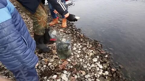 Выпуск в водоем
