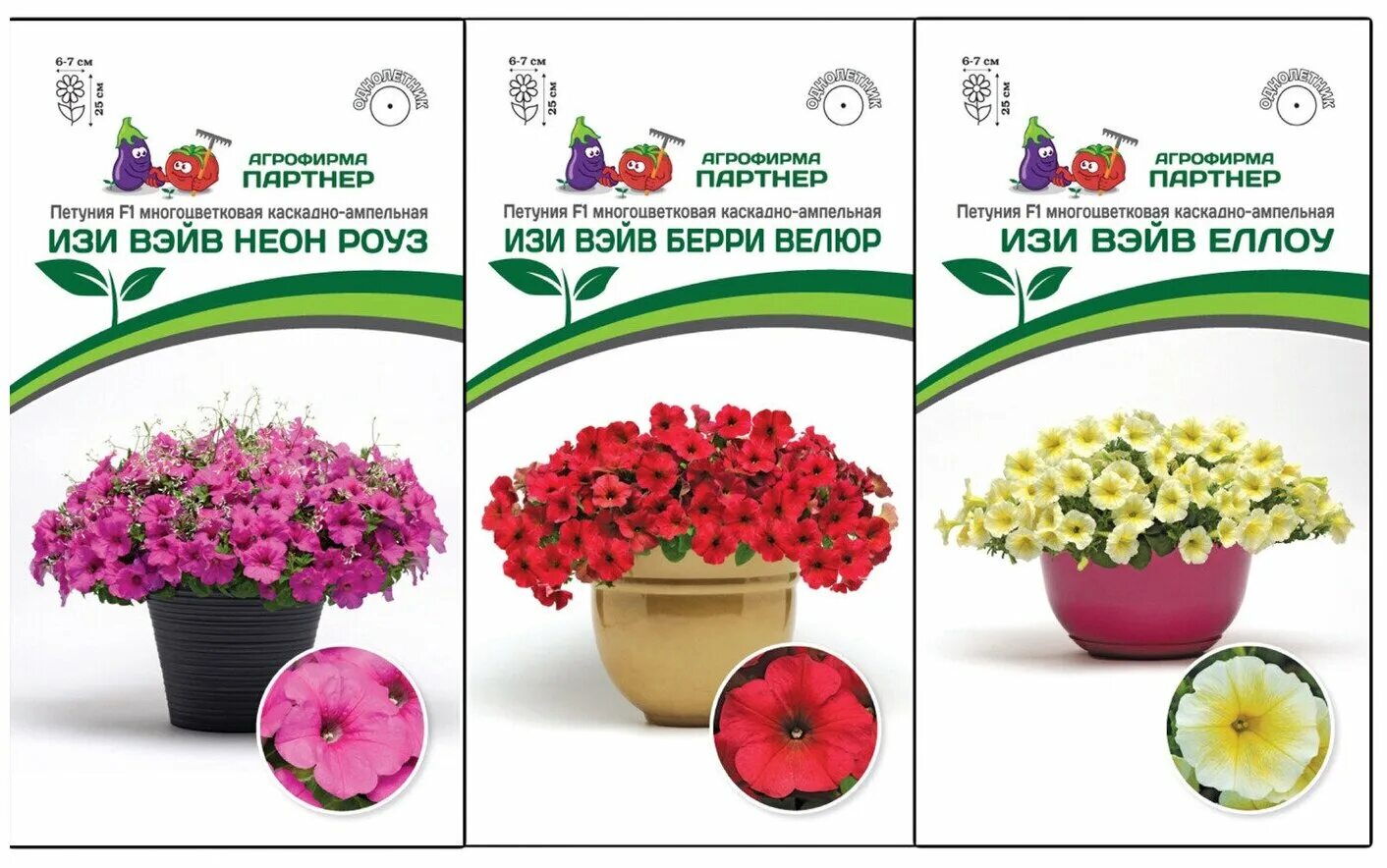 Петуния тайдл красная агрофирма партнёр. Семена петунии от агрофирмы партнер каталог. Петуния вителия. Петуния ампельная вуаль f1. Петуния азерра.
