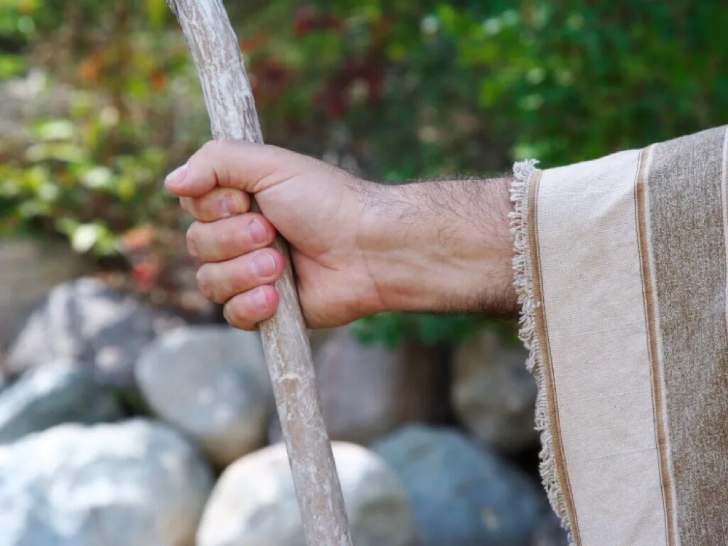 Приспособление для сбора мусора. Где взять палку. Посох пастуха. Полоски зеленой бумаги 1-1. Где взять палку.