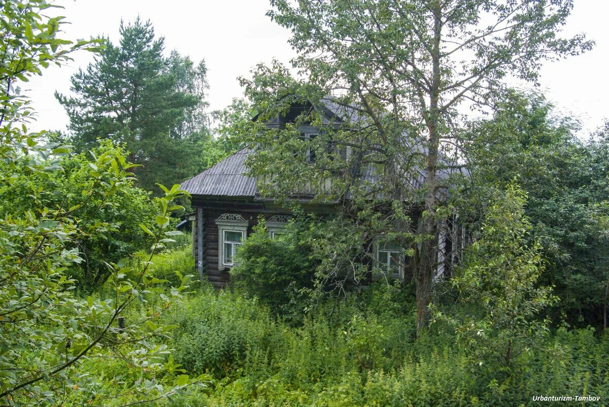 Речка в деревне. Заброшенные деревни угличский район ярославская область. Воробьёвский пруд в орловской области. Ветлуга усадьба левашовых. Деревня высоково меленковский район.