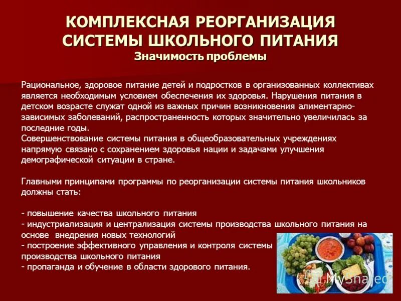 Питание школьника. Проблемы школьного питания. Предложения по организации питания в школе. Организация питания школьников. Качество питания в школе