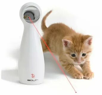 Приманка для кота