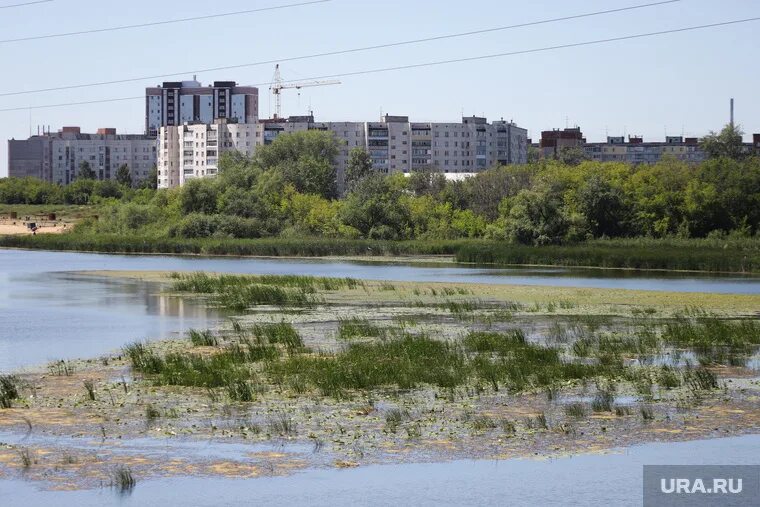Тобол река курган сейчас. Курган набережная тобола. река тобол курган. река тобол курганская область. тобол в районе набережной курган.