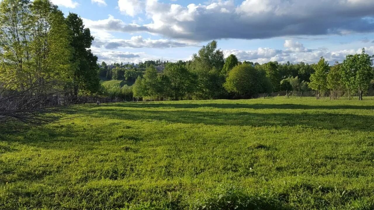 Земля новгородская область. Мелковичи. Земля новгородская область. Валдай гектар. Земля новгородская область.