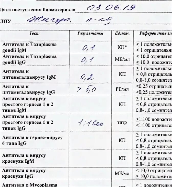 Herpes simplex 2 igg. Норма анализа крови на герпес. Расшифровка анализа на антитела к герпесу 1,2. Анализ на герпес 1 и 2 типа. Расшифровка анализа вирус простого герпеса антитела.