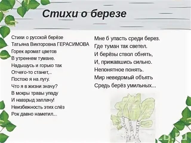 Русская березка стихотворение. Стих Березка. Стих про березу. Стих про березу для детей. Стихотворение про березу для детей.