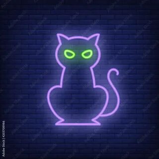 Игра в фиолетовые котик