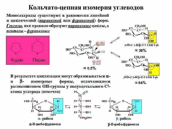 Оптические изомеры моносахаридов. Кольчато-цепная таутомерия углеводов. Изомерия структура моносахаридов. Кольчато-цепная таутомерия Сахаров. Характерные реакции углеводов