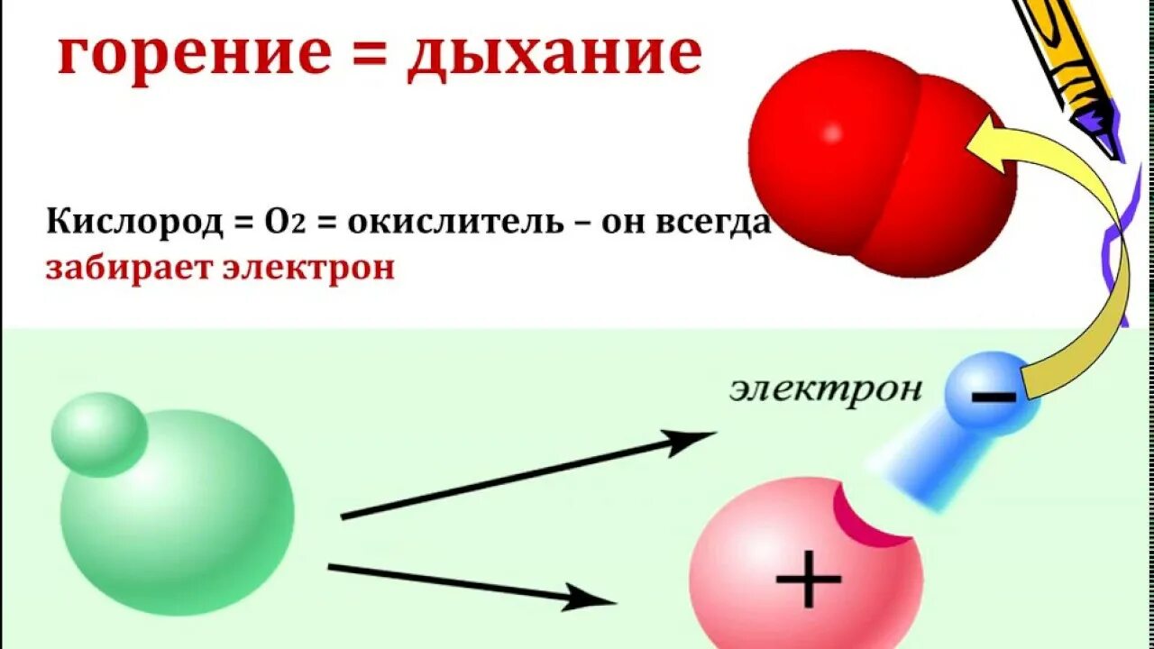 Биологическое горение. Горение и окисление. Биологическое окисление и горение. Сравнение горения и биологического окисления. Окисление и горение сравнение.