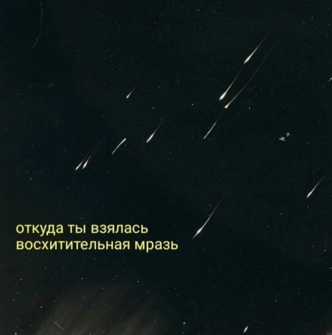 Можно я с тобой откуда песня. Пин цитаты на доске сохры. Откуда ты взялась восхитительная. Откуда ты взялся. Сохры цитаты эгоистичные.