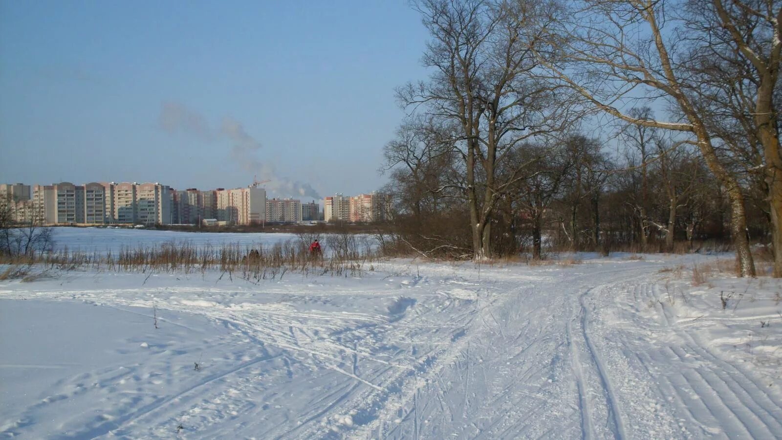 Осановская роща вологда. Парк Осановская роща Вологда. Осановская роща Вологда проект. Осановская роща Вологда площадка. Вологда Осановская роща благоустройство.