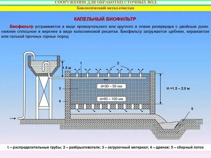 Роль биофильтров выполняют
